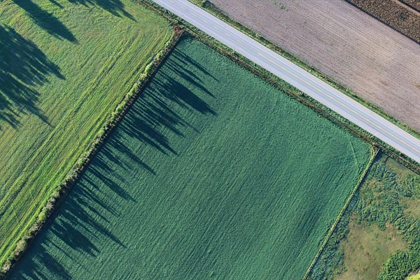 Staying Safe On Rural Roads